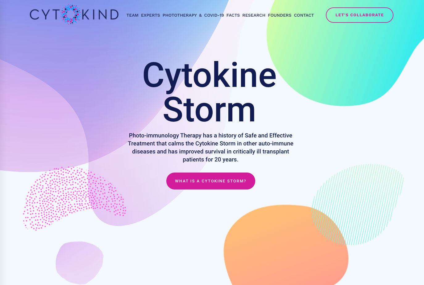 desktop device homepage slider screenshot of CYTOKIND website design
