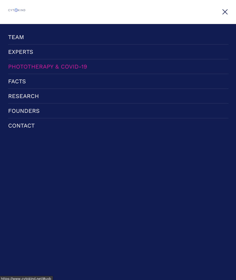 tablet device navigation menu design screenshot of CYTOKIND website design